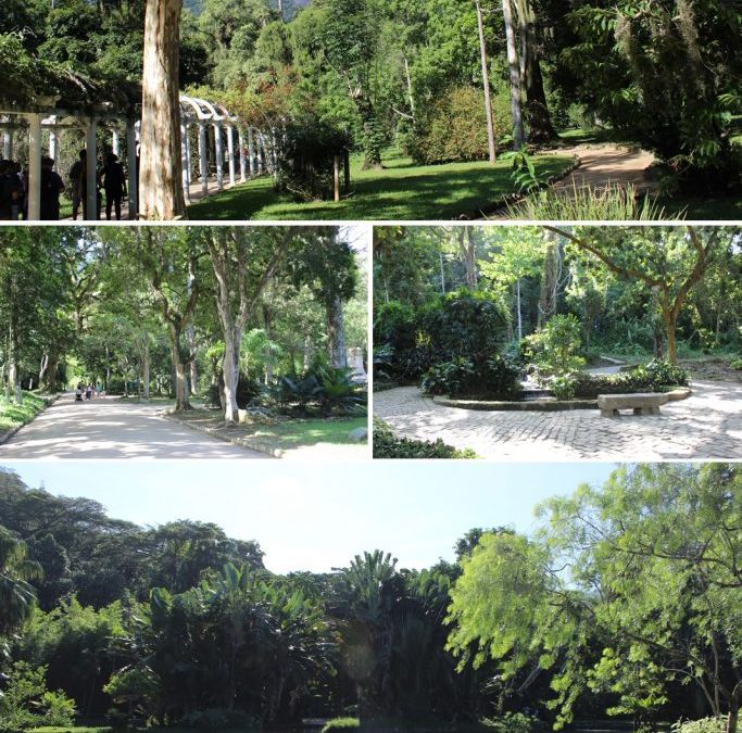 Enjoy: Jardim Botânico do Rio de Janeiro