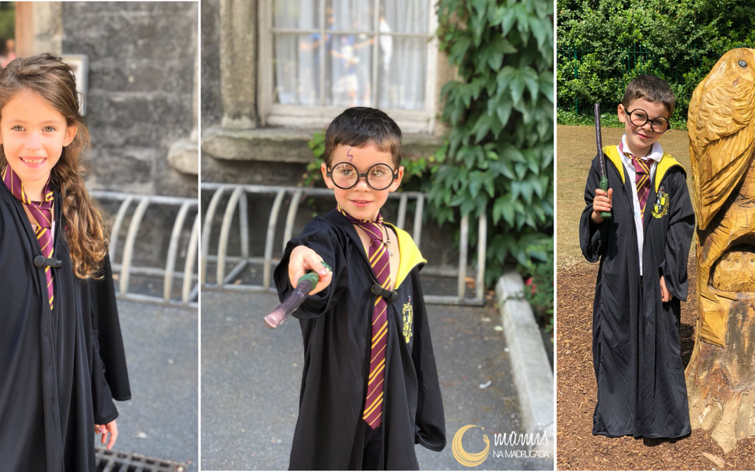7 Paradas Obrigatórias para os Fãs do Harry Potter (Dublin, Edimburgo e Londres)